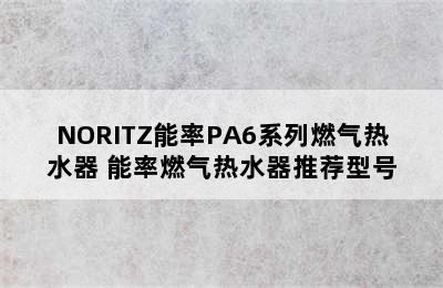 NORITZ能率PA6系列燃气热水器 能率燃气热水器推荐型号